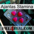 Ajantas Stamina 13